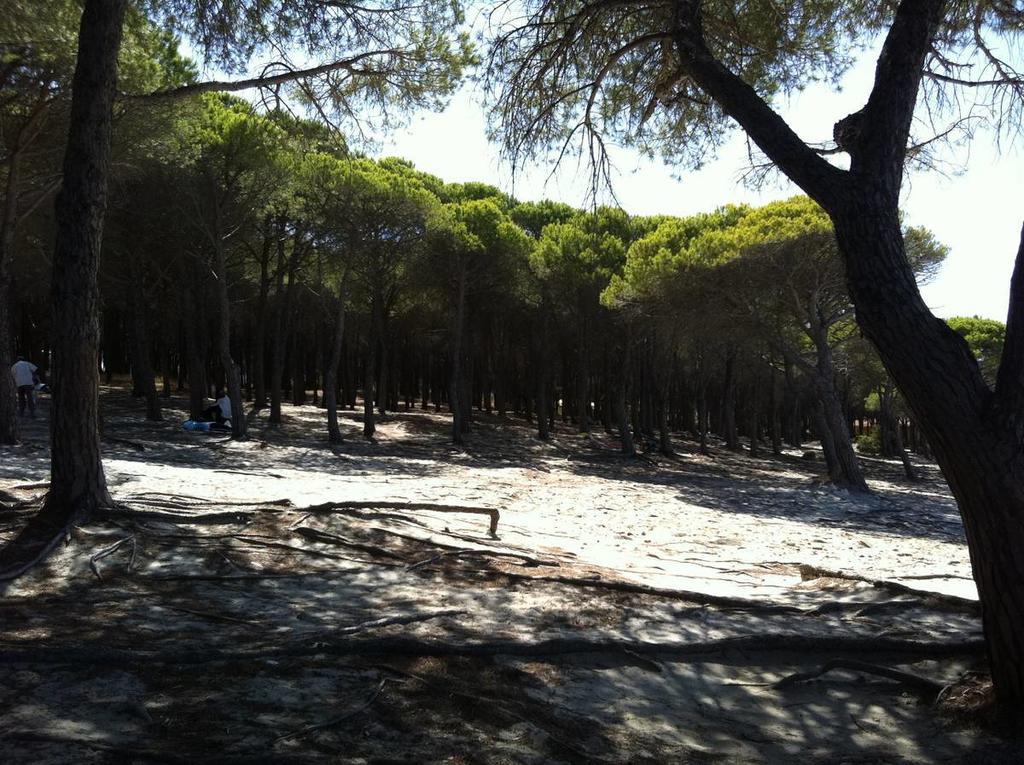 Case Vacanze Budoni Beach Cameră foto